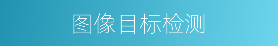 图像目标检测的同义词