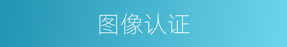图像认证的同义词