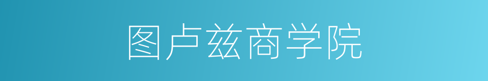 图卢兹商学院的同义词