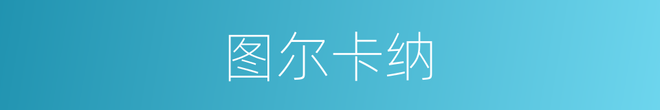 图尔卡纳的同义词