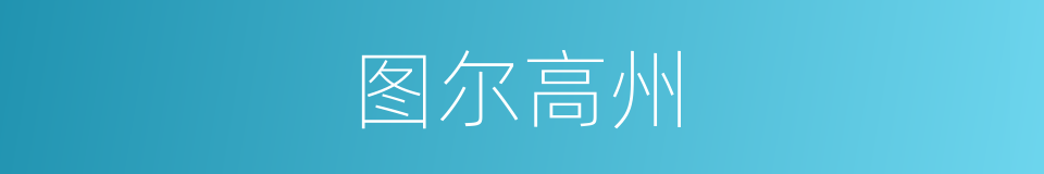 图尔高州的同义词