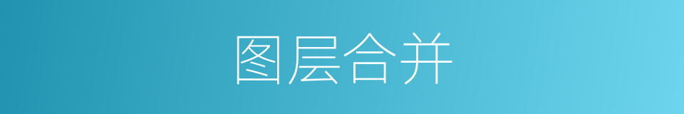 图层合并的同义词