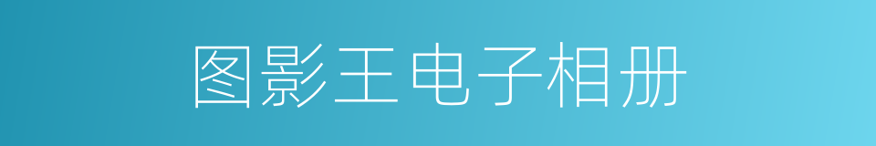 图影王电子相册的同义词