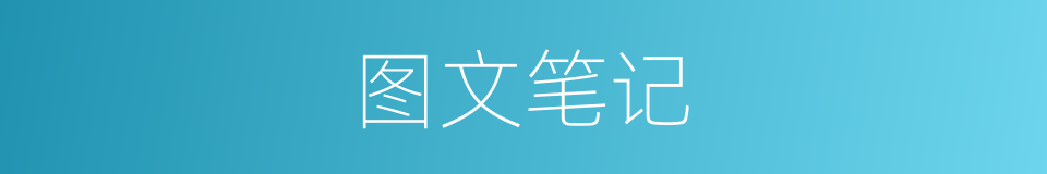 图文笔记的同义词