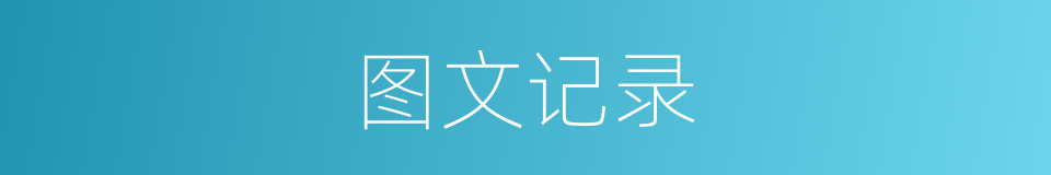 图文记录的同义词