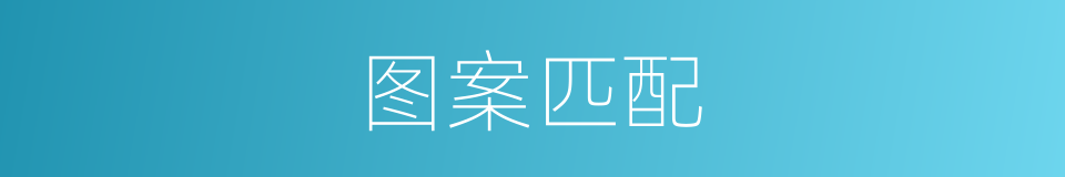 图案匹配的同义词