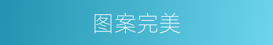 图案完美的同义词