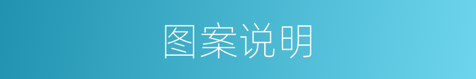 图案说明的同义词
