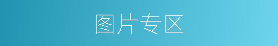 图片专区的同义词