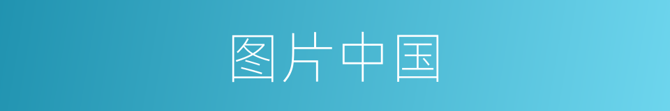 图片中国的同义词