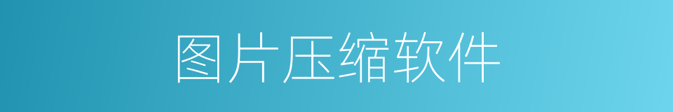 图片压缩软件的同义词
