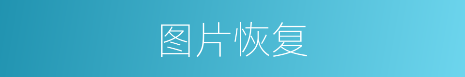 图片恢复的同义词