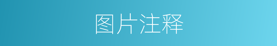 图片注释的意思