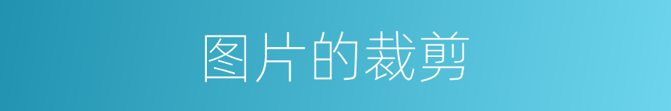 图片的裁剪的同义词