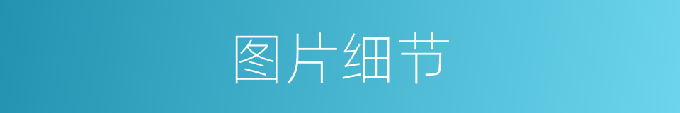 图片细节的同义词