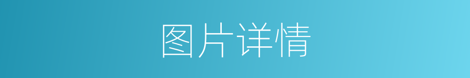 图片详情的同义词