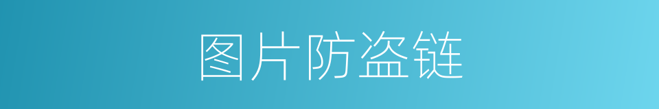 图片防盗链的同义词