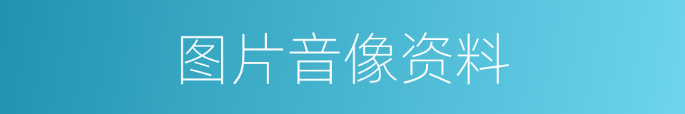 图片音像资料的同义词