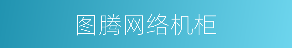 图腾网络机柜的同义词