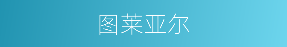 图莱亚尔的同义词