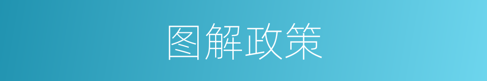 图解政策的同义词