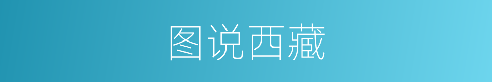 图说西藏的同义词