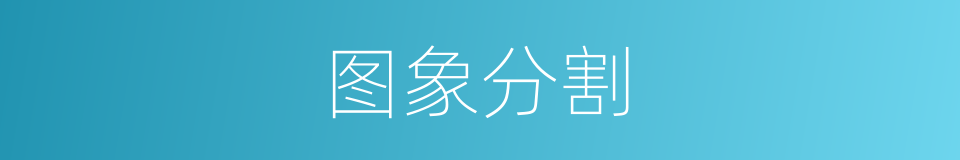 图象分割的同义词