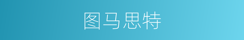 图马思特的同义词