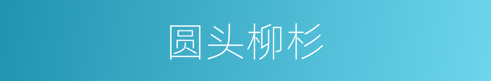 圆头柳杉的同义词