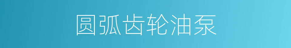 圆弧齿轮油泵的同义词