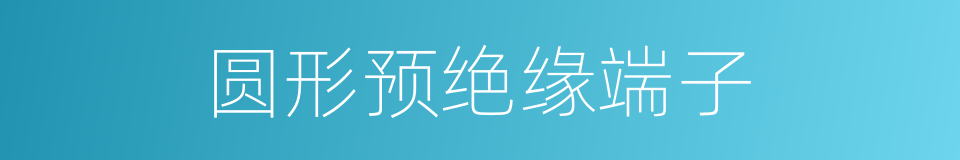 圆形预绝缘端子的同义词