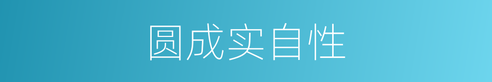 圆成实自性的意思