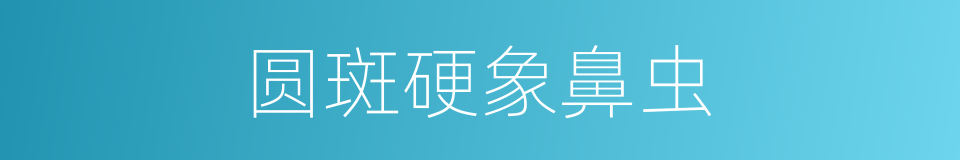 圆斑硬象鼻虫的同义词
