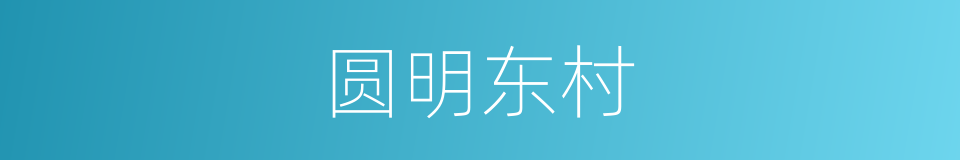 圆明东村的同义词