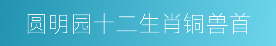 圆明园十二生肖铜兽首的同义词