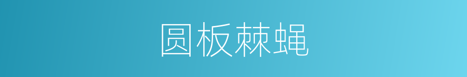 圆板棘蝇的同义词