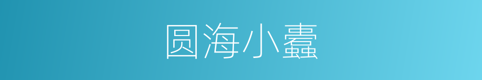 圆海小蠹的同义词