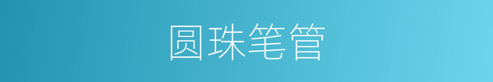 圆珠笔管的同义词