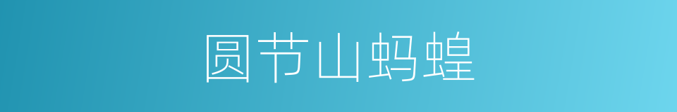 圆节山蚂蝗的同义词