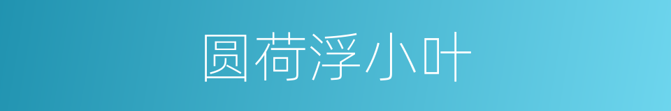 圆荷浮小叶的同义词