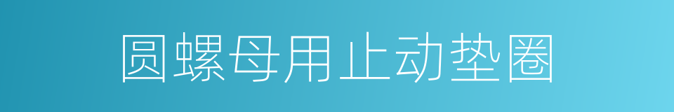 圆螺母用止动垫圈的同义词