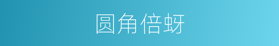 圆角倍蚜的同义词