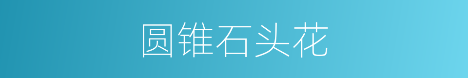 圆锥石头花的同义词