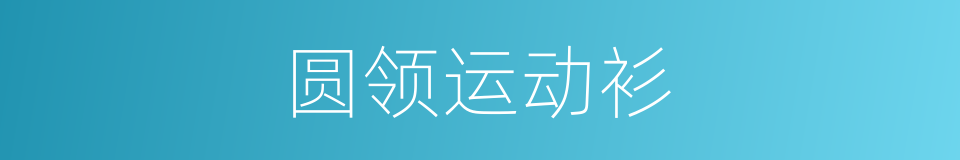 圆领运动衫的同义词