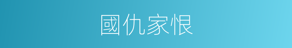 國仇家恨的意思