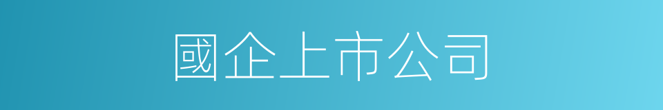 國企上市公司的同義詞