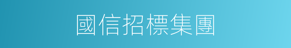 國信招標集團的同義詞