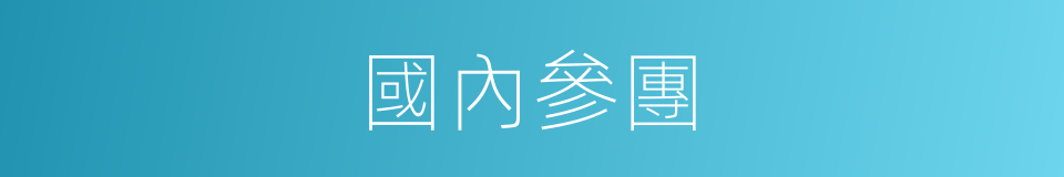國內參團的同義詞