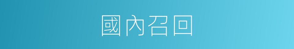 國內召回的同義詞