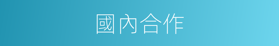 國內合作的同義詞